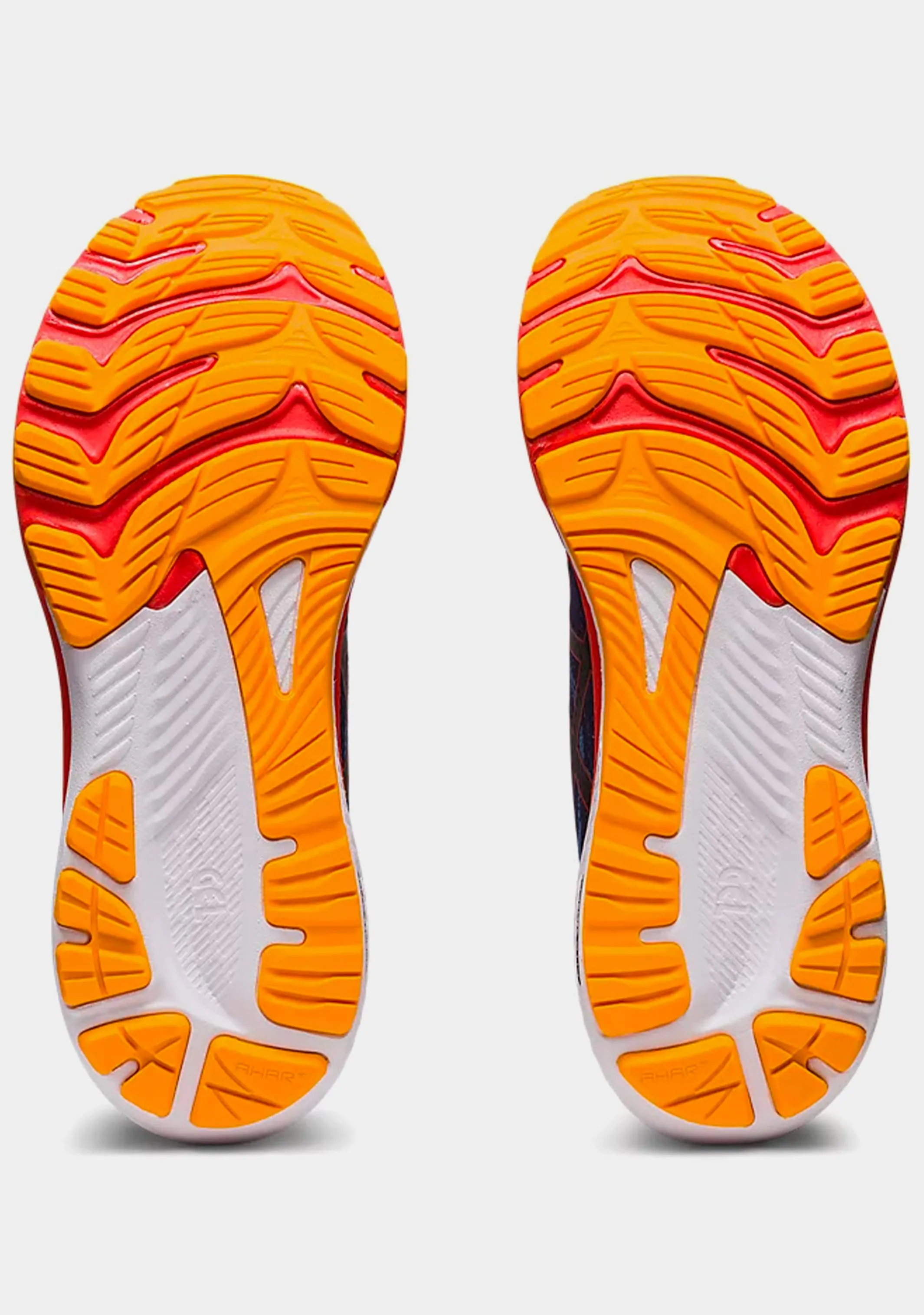 Asics Gel Kayano 29 pour Homme