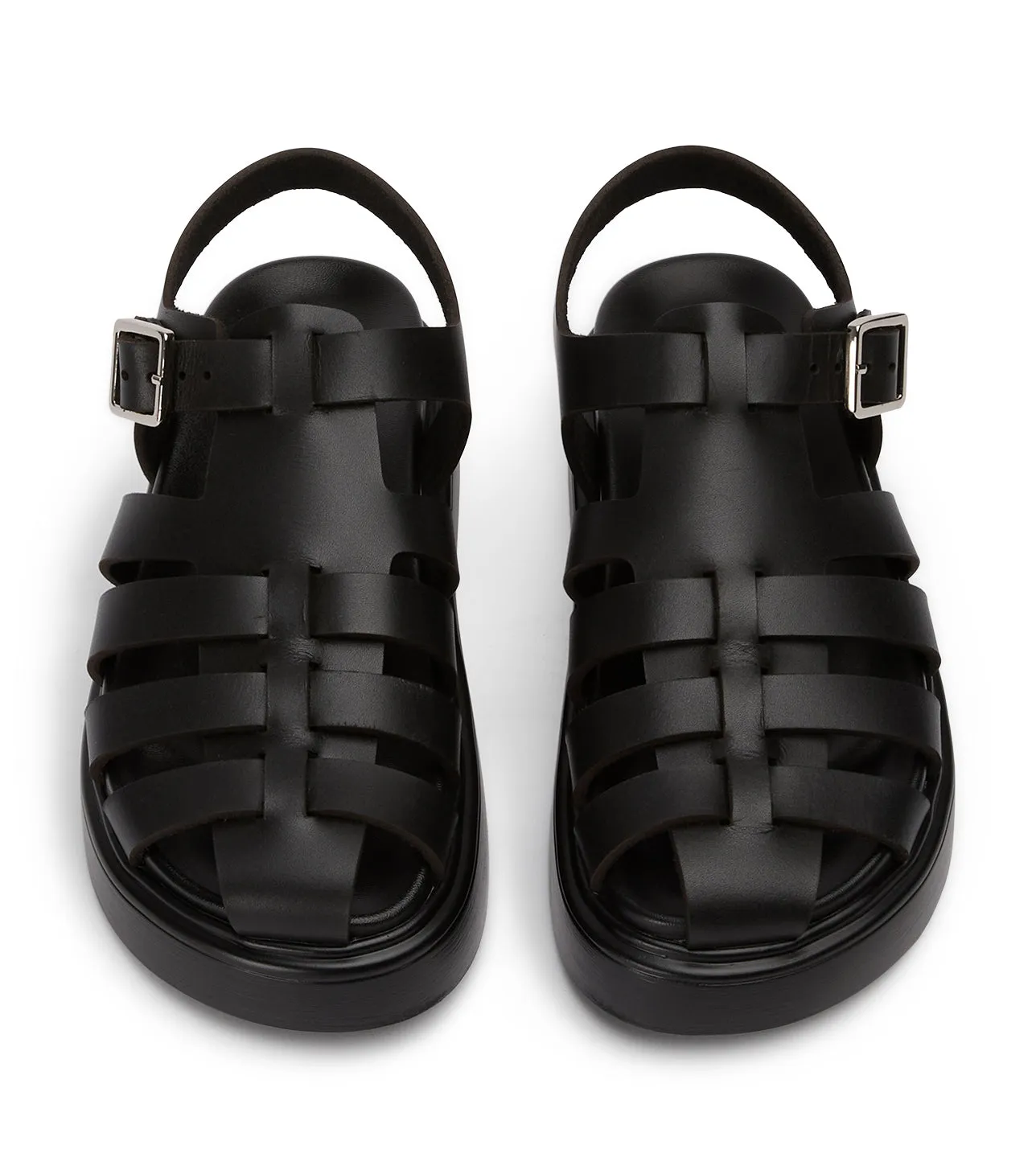 Jethro Black Tuscon