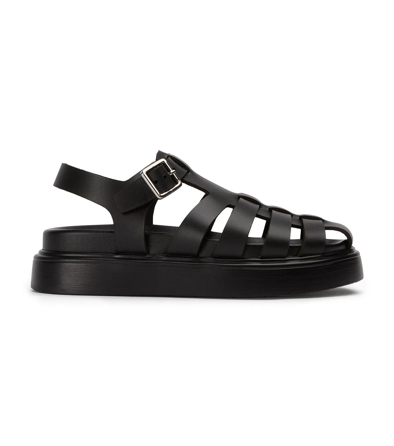 Jethro Black Tuscon