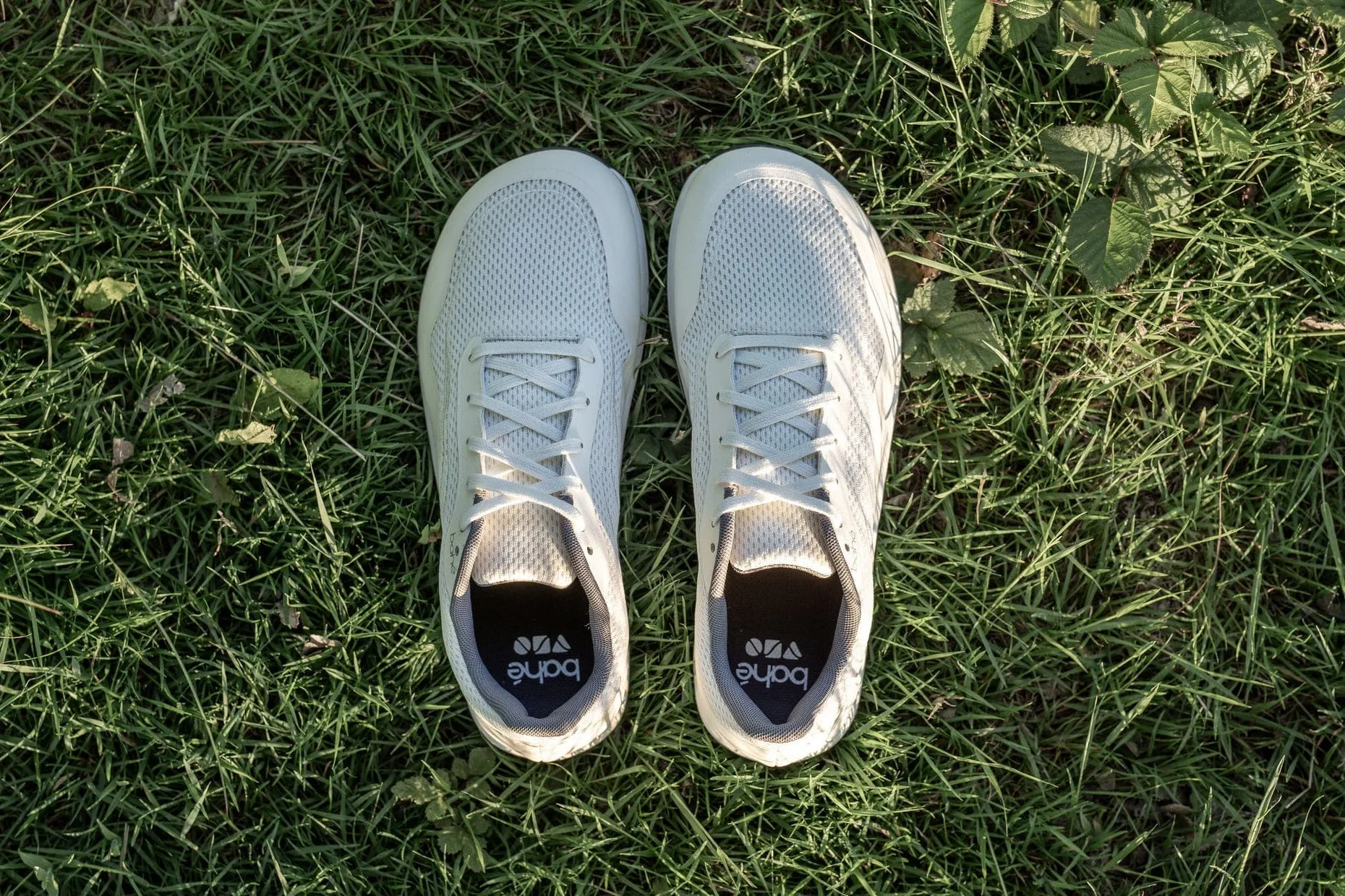 Chaussures véganes minimalistes pour hommes Revive Grounding | Givré