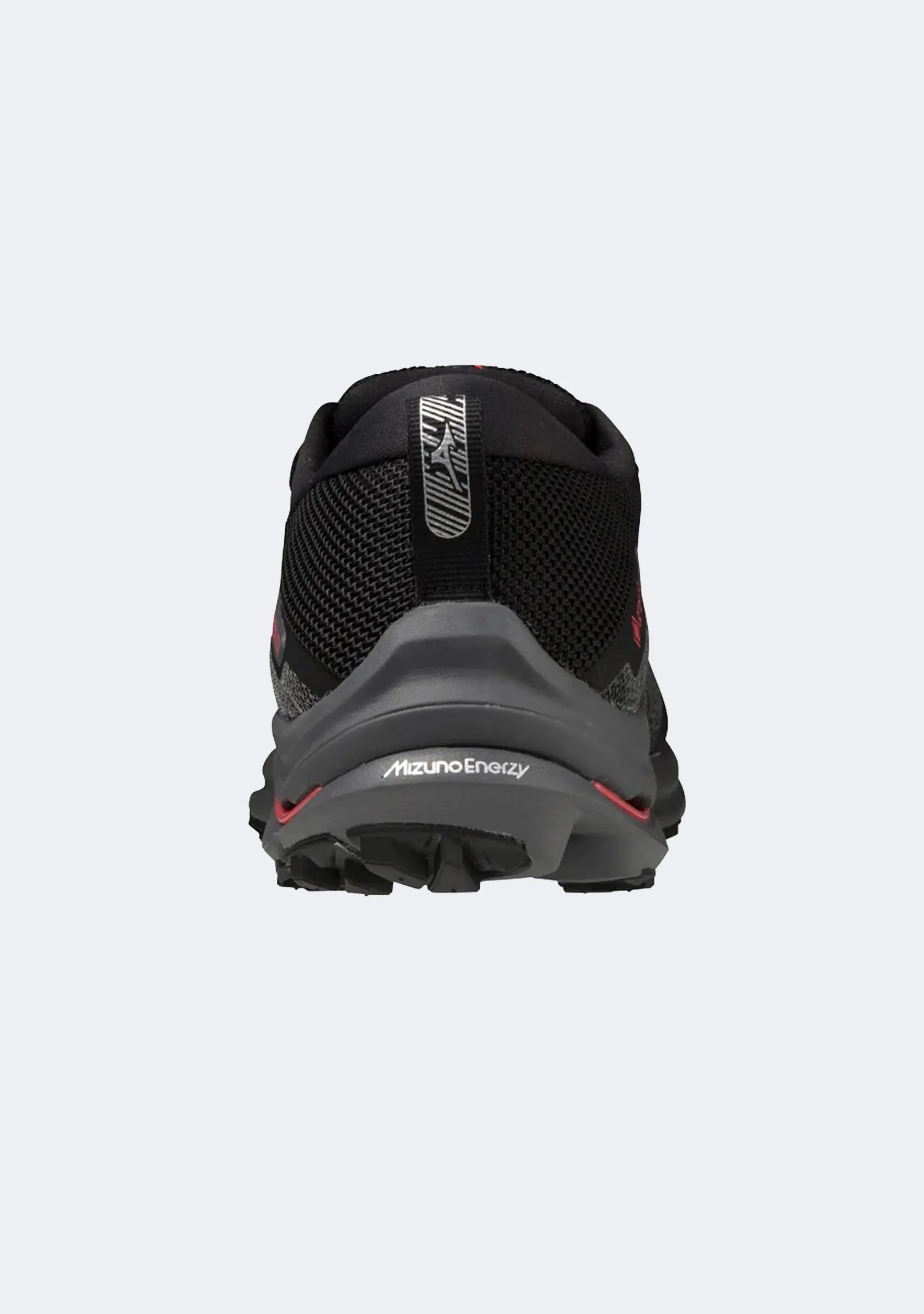 Mizuno Wave Rider GTX 2E pour Homme