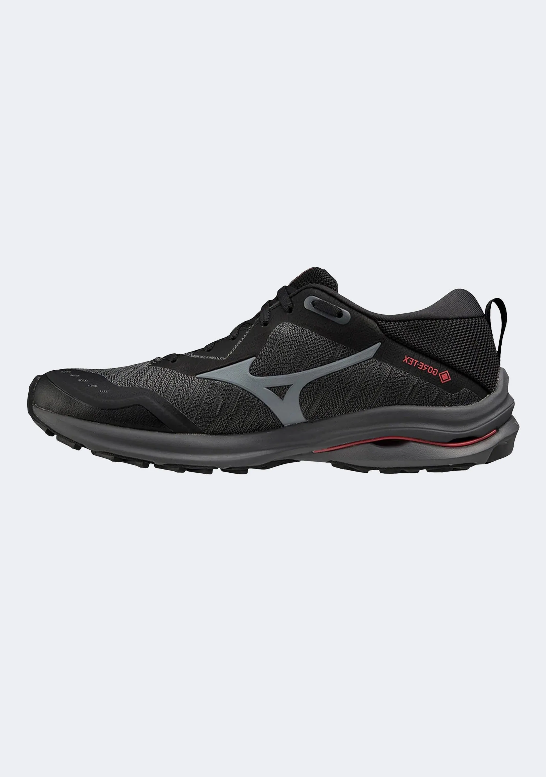 Mizuno Wave Rider GTX 2E pour Homme