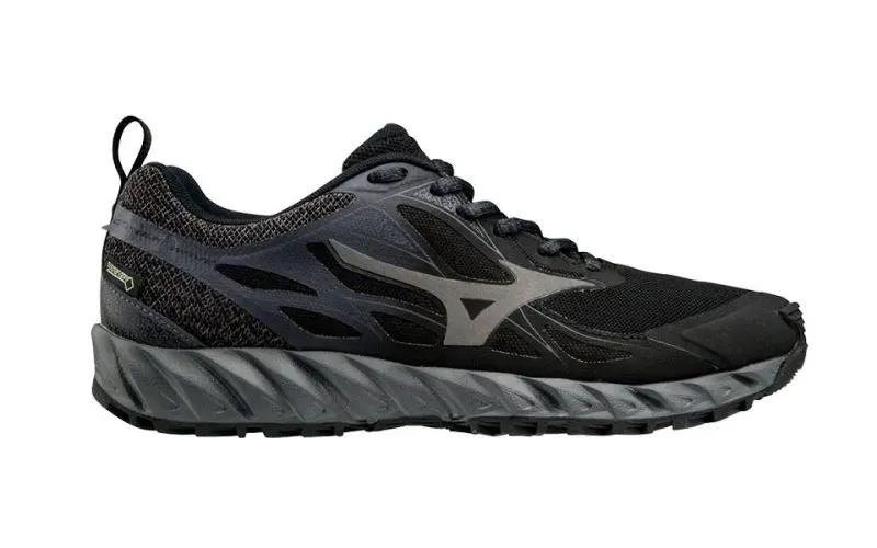 Chaussures de course Mizuno Wave Ibuki GTX pour Femmes