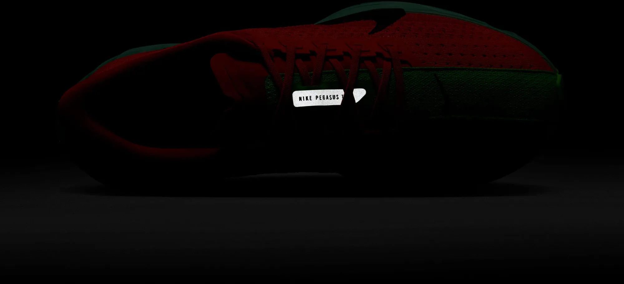 Chaussures de course sur route Pegasus Plus