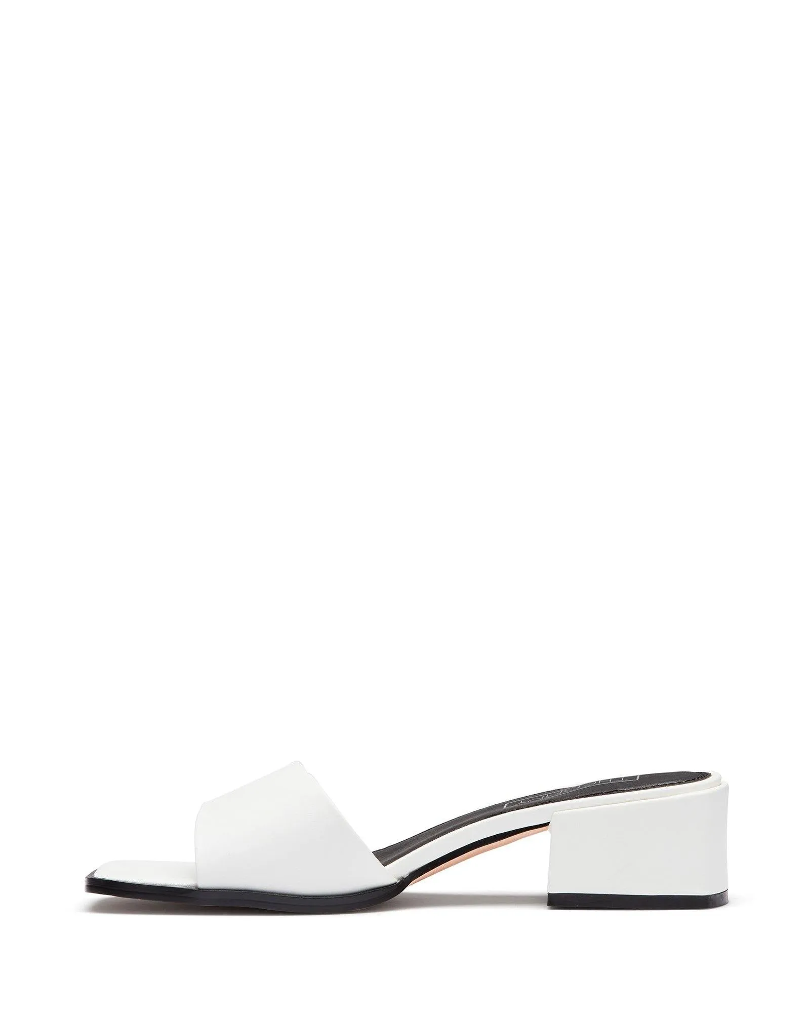 Stormi White *VENTE FINALE*