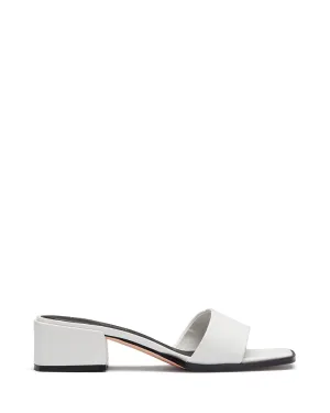 Stormi White *VENTE FINALE*
