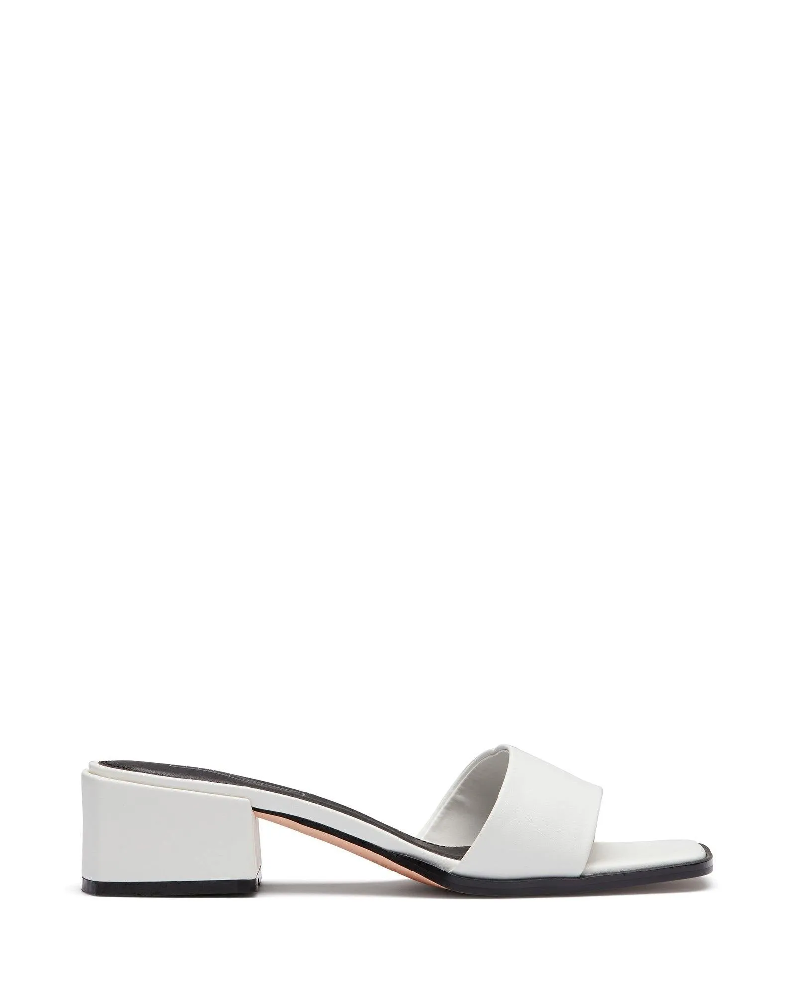 Stormi White *VENTE FINALE*