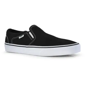 Vans M Asher en toile