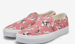 Vans W Asher Oiseaux de Paradis