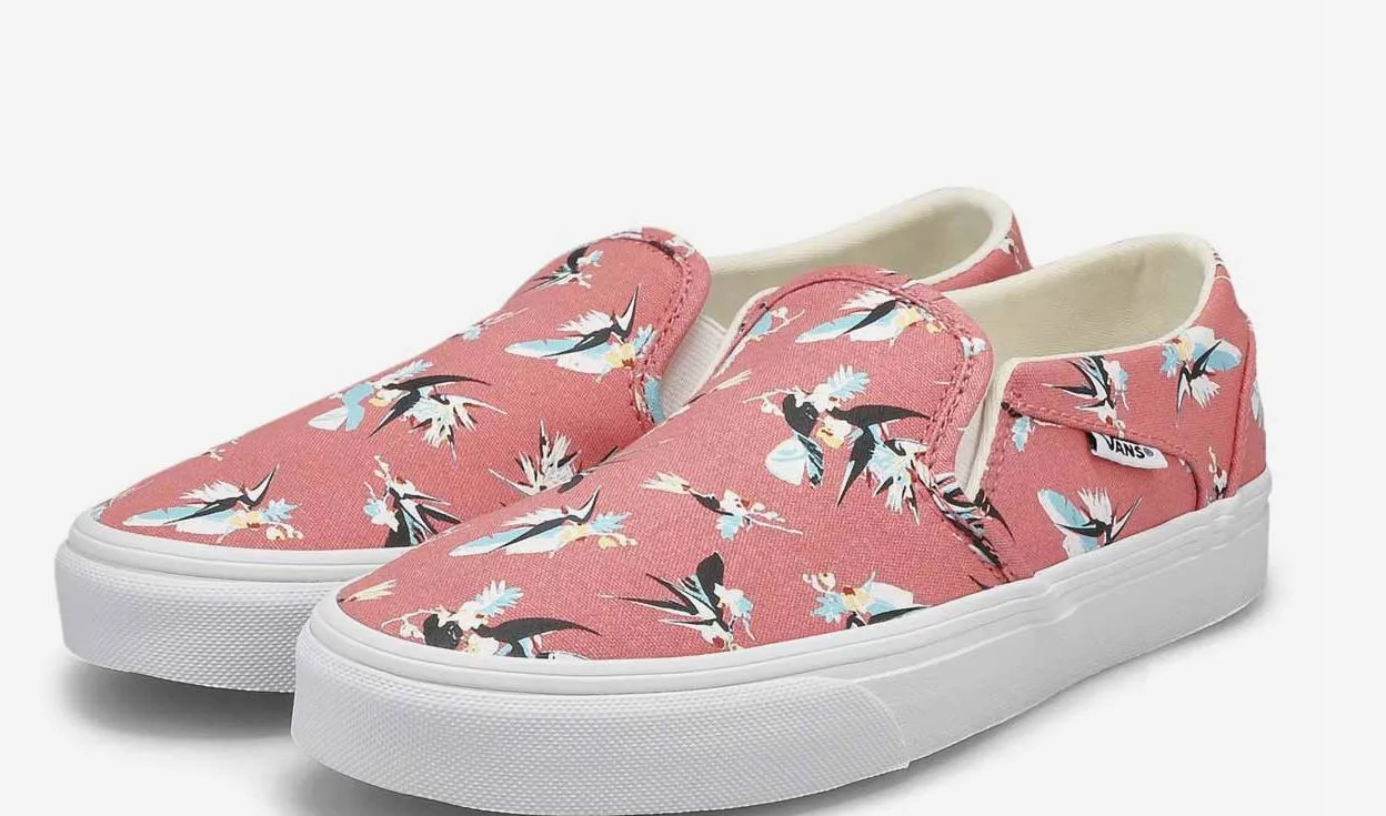 Vans W Asher Oiseaux de Paradis
